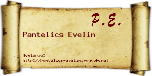 Pantelics Evelin névjegykártya